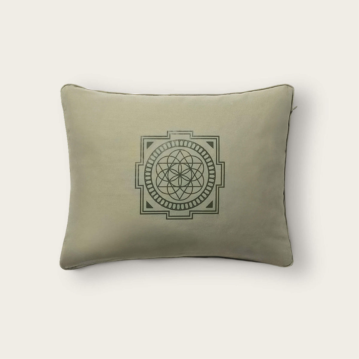 Premium Acupressure Pillow