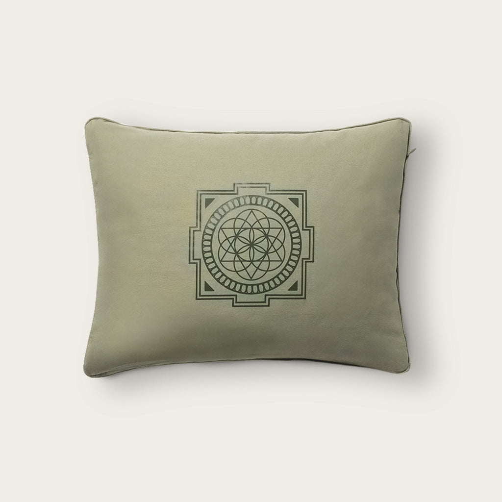 Premium Acupressure Pillow